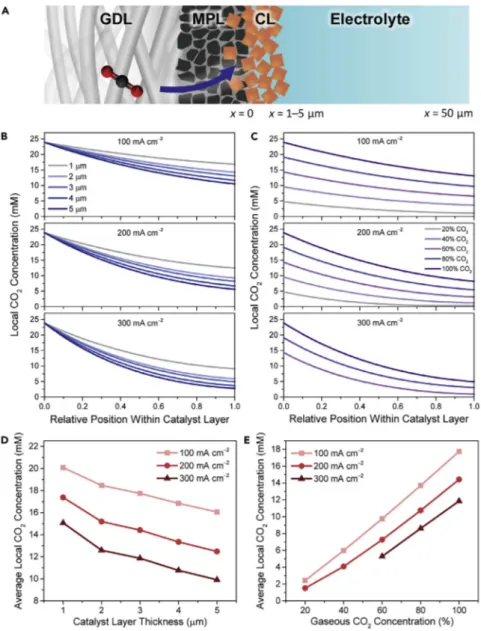Figure 2. Utilizing Mass-Transport Modeling to Predict Different Ways to Tune the Local CO 2