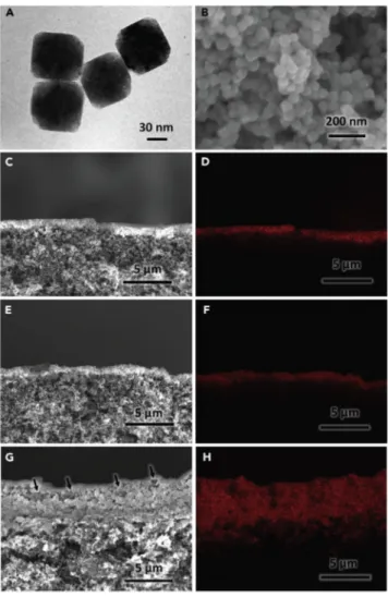 Figure 3. Physical Characterization of Catalyst Layers Assembled by Cu 2 O NPs via Various