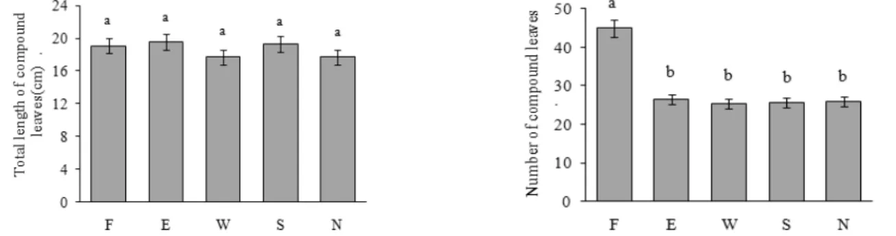 Figure 2. Total length and numbers of compound leaves of the annual sprouting stems in tetraploid of R