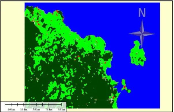 Fig. 17. Filtered classification map of the Northeastern Jeju  island. 