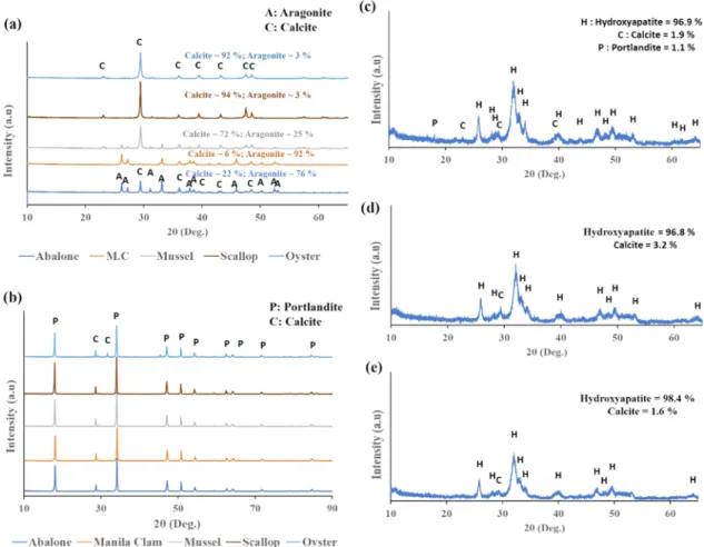 Figure 1. XRD patterns and a semiquantitative phase amount of (a) all of the raw bivalve seashells, (b) synthesized N-CH from respective seashells, and of post P-treated N-CH after (c) 1 min, (d) 2 min, and (e) 5 min.
