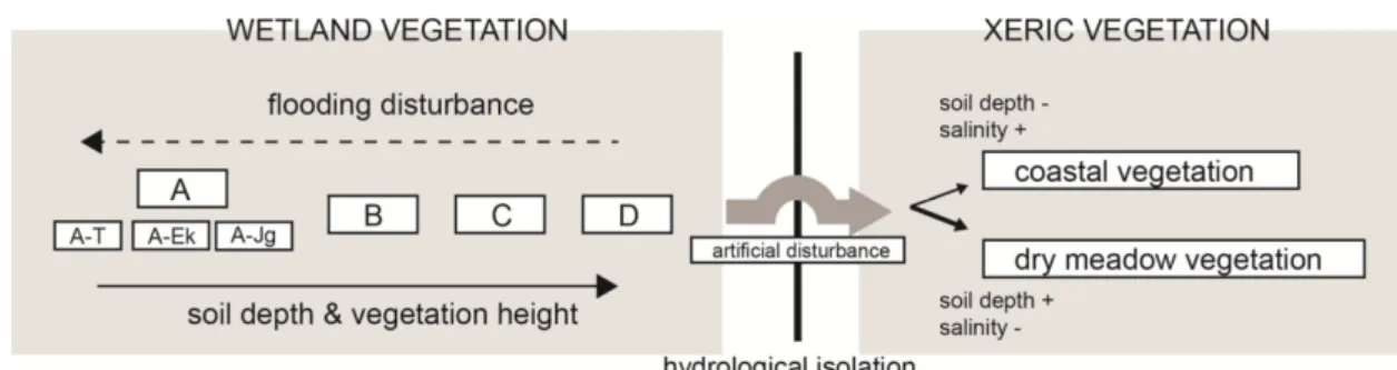 Fig. 7. Relation diagram of syntaxa with successional patterns and environmental factors in Dangsa coastal wetland (acronyms are same such as Table 1)