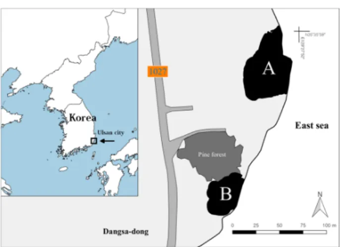 Fig. 1. Study area (area, A: 2,650m 2  and B: 1,326m 2 ) 연구지역의 연평균기온은 14.1 ℃, 최저기온 9.8 ℃, 최고 기온  19.2  ℃이며,  강수량은  1,277.1  mm이다(KMA,  2016)