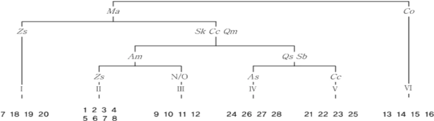 Figure 3. DCA ordination of twenty eight plots in the Beomeosa Valley