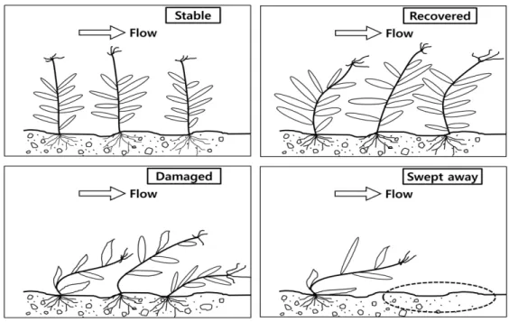 Fig. 1. Four stages of flow response of aquatic plants