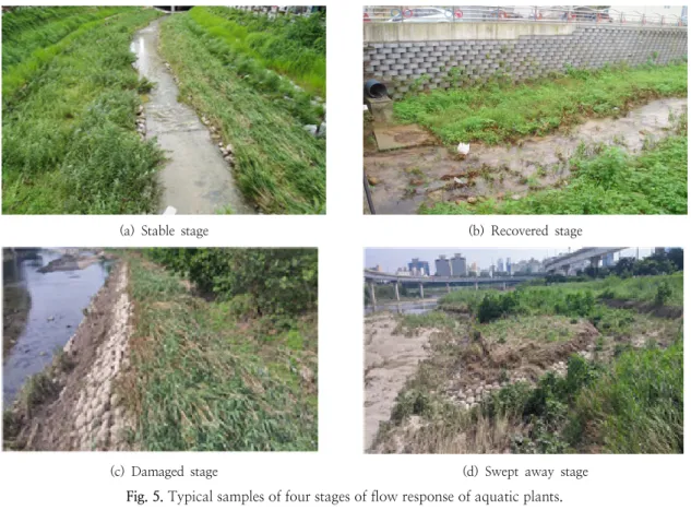 Fig. 5. Typical samples of four stages of flow response of aquatic plants.