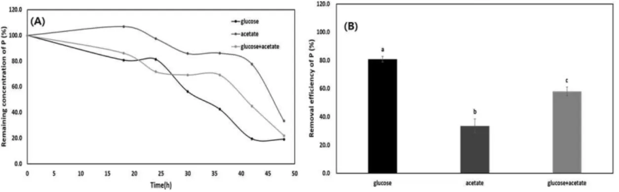 Fig. 11. Remaining concentrations (A) and Removal efficiencies (B) of P by Bacillus licheniformis  with variation of carbon source for 48 hours.