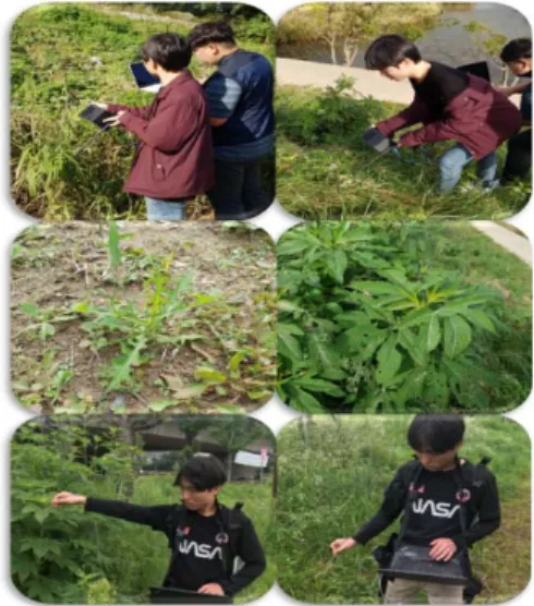 Fig. 5. Field survey and ground spectral data acquisition. 3.2. 드론 초분광 스펙트럼 분석 2회에 걸쳐 드론 초분광 센서를 취득하여 지상분광 라 이브러리와의  분석을  실시하였다 