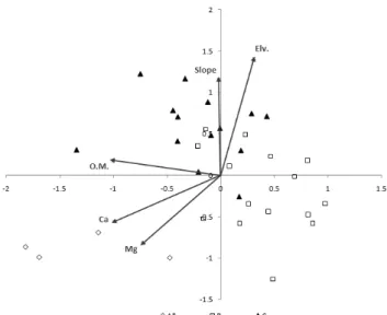 Figure 6. Canonical Correspondence Analysis (CCA)  of research stands in the second forest