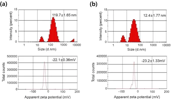 Fig. 2. The size distribution and Zeta potential of synthesized EC-AgNPs (a) and EC-AuNPs (b).