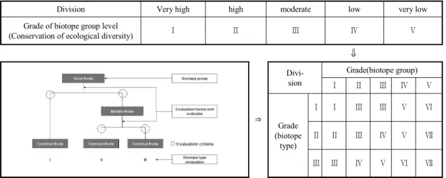 Fig. 2. Classification and evaluation system of biotope.  