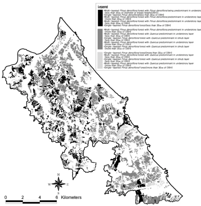 Figure 5. The location map of biotope of Pinus densiflora in Yangyang-gun 다.  관목층은 우점종을 교목성상 수종인 참나무류와 기타  관목성상의  수종으로  구분하였다