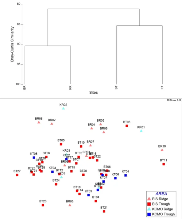 Fig. 3. Dendrogram for pair group-average clustering and Multi-dimensional scaling (MDS) using Bray-Curtis similarity of  meiobenthos community  within different  bathymetric  characters  and sites