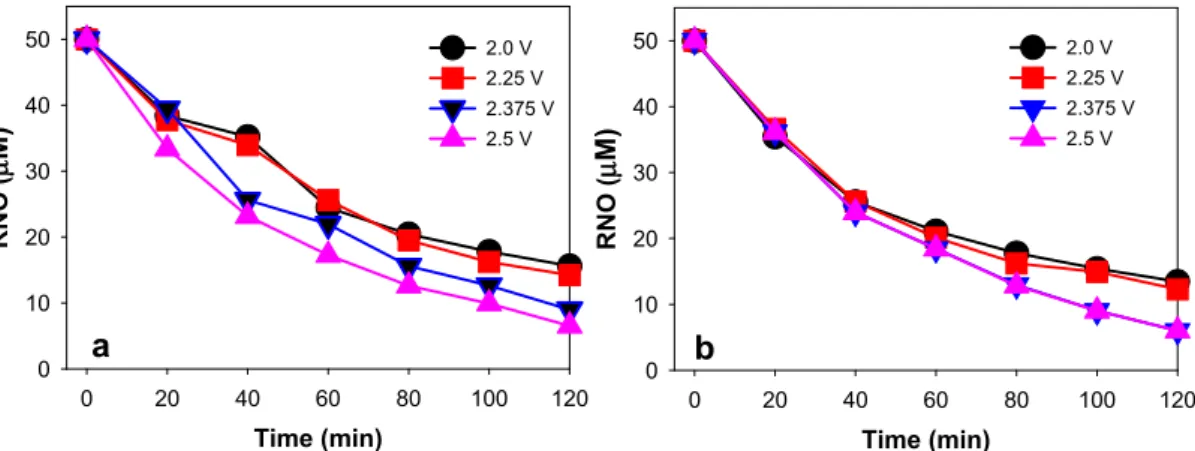 Fig. 5. Ti/IrO 2 -SSN electrode with respect to Ti/IrO 2  electrode. 