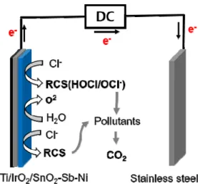 Fig. 6. Schematic illustration of the electrocatalytic reaction  mechanism.   