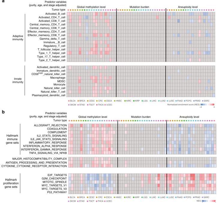 Fig. 2 Genomic methylation loss correlates with immune evasion signatures. a Heatmap of Gene Set Enrichment Analysis (GSEA) 48 normalized