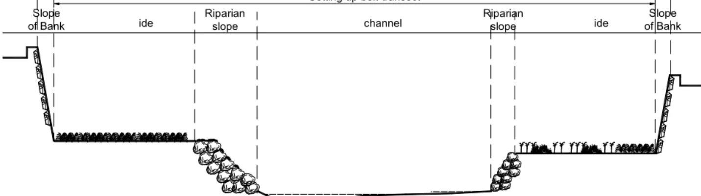 Figure 2. Cross-sectional side topographical structure of Suwoncheon크리트 보를 제거하고 사면형의 자연형 보를 조성하면서 유지되고 있는 보 상부의 저습지이다