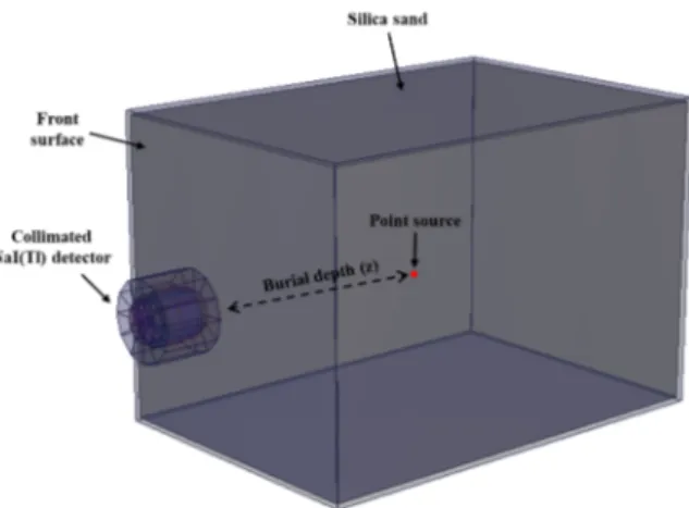 Figure 2. Schematic of the geometry defined for MCNP6 simulation. A collimated NaI(Tl) detector  was placed 6 cm away from the front surface and a radioactive Cs-137 source was located inside silica  sand