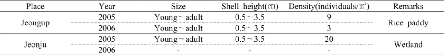 Figure 2. Comparison of daily minimum temperatures  in Chonju from Dec., 2004 to Jan., 2005  and from Dec., 2005 to Jan., 2006