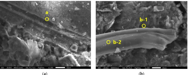 Figure 11. SEM images: (a) W21-S0 specimen and (b) W21-S5 specimen. 