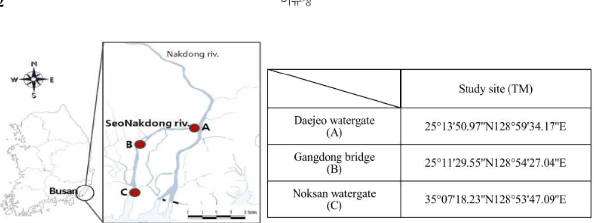 Fig. 1. Study sites in the SeoNakdong river.