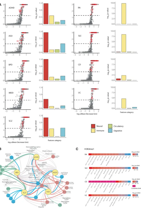 Figure 3. Pathophysiological relevance of prediction outcomes. (A) Results of feature importance analysis
