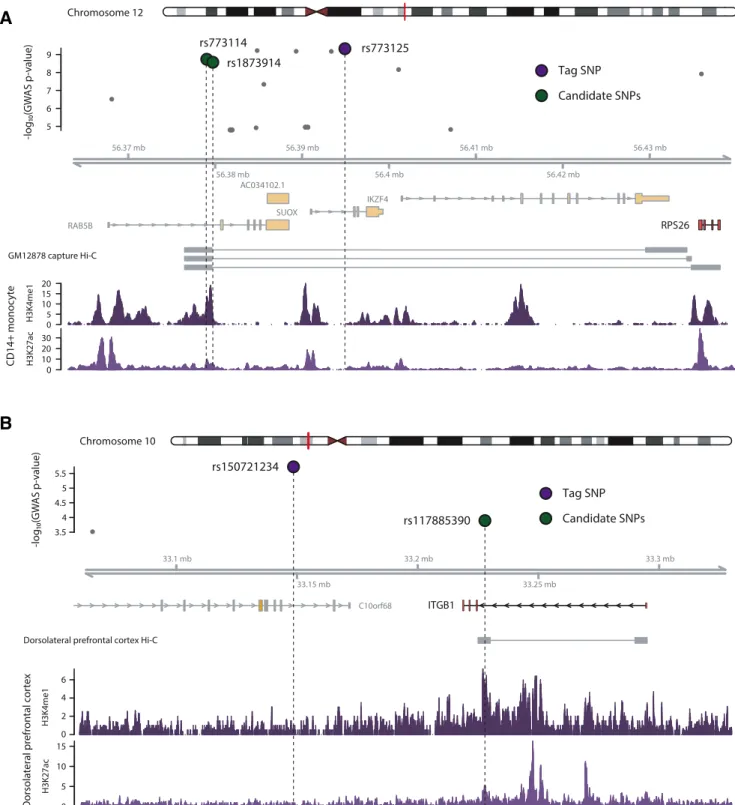 Figure 5. Examples of novel candidate causal SNPs. (A) Example for autoimmune diseases