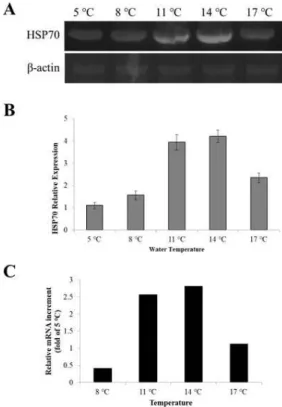 Fig. 3. Cell viability (%) of hepatocytes of walleye pollocks. 