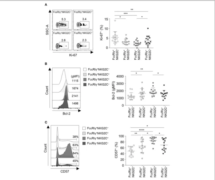 FIGURE 4 | FcεRIγ − NKG2C + CD56 dim NK cells exhibit features of long-term memory and terminal differentiation
