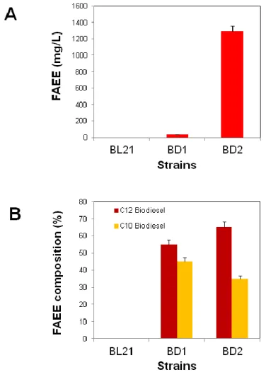 Figure  3.  Biodiesel  production  in  engineered  Escherichia  coli.  (A)  Total  fatty  acid  ethyl  ester  production