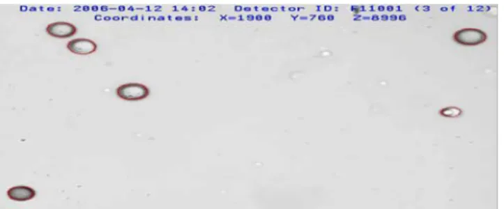 Fig. 20. Neutron of the CR-39 surface of bandit image