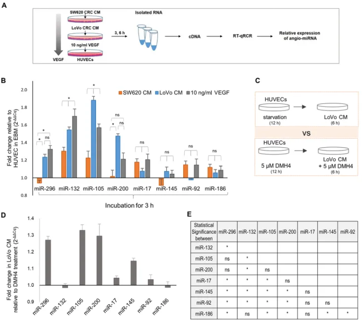 Figure 3. Expression of angio‑miRNAs in HUVECs. (A) Experimental scheme illustrating quantitative analyses of angio‑miRNA expression in HUVECs  cultured in Lovo‑CM, SW520‑CM or 10 ng/ml VEGF