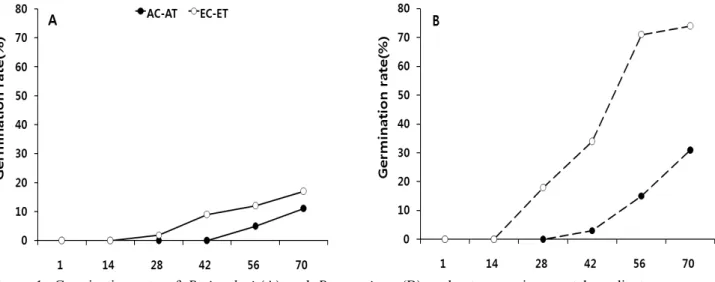 Figure 1. Germination rate of P. insularis(A) and P. americana(B) under two environmental gradients                   (●: ambient CO 2 -ambient temperature, ○: elevated CO 2 -elevated temperature) 