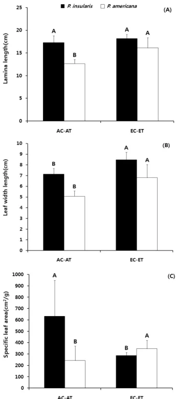 Figure 3. Lamina length(A), leaf width length(B) and  specific leaf area(C) of P. insularis(closed  bars) and P