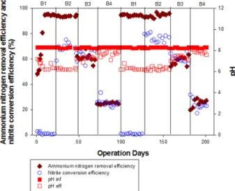 Fig. 4. Change of ammonium nitrogen removal efficiency,  nitrite conversion efficiency and pH in laboratory scale reactor.