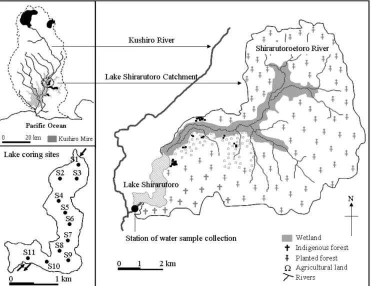 Figure 1. Map of the Lake Shirarutoro catchment and the location of the study sites, as well as station of water  sample collection and the lake coring sites