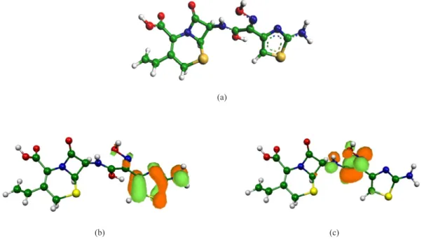 Fig. 9. (a) The optimized geometry, (b) HOMO and (c) LUMO of CDR molecule for protonated species in the aqueous phase.