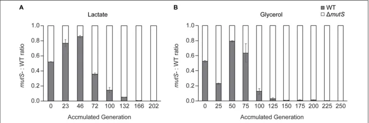 FIGURE 2 | Competition experiment between E. coli parental wild-type and 1mutS strains