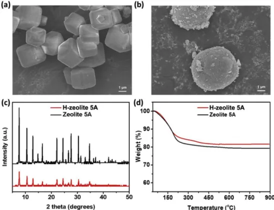 Fig. 2. (a) N 2 physisorption isotherms of bulk and H-zeolite 5A measured at −196 °C (77 K) under the P/P o range of 0 –1 bar; (b) CO 2 and CH 4 adsorption capacities