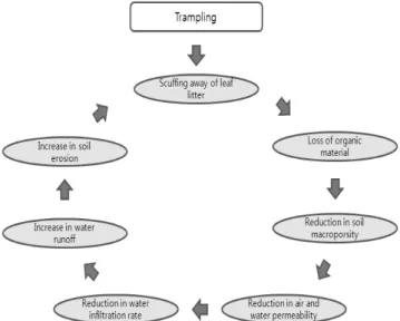 Figure 2. Soil Impact Cycle Resulting Human Trampling  (Manning, 1979)따른 사회적 영향’으로 구분될 수 있다