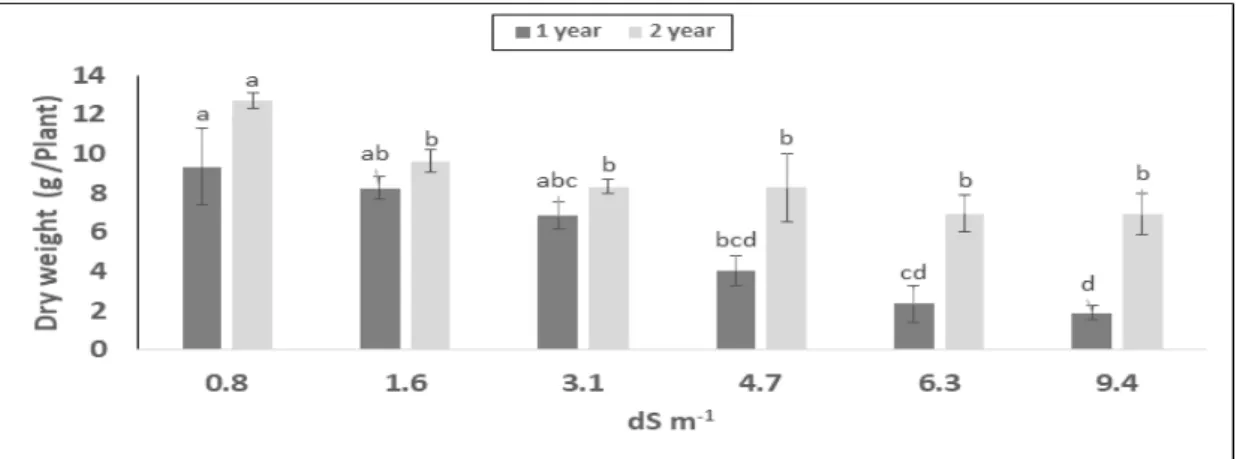 Fig. 2. Comparison of dry weight of above ground part according to soil EC concentration