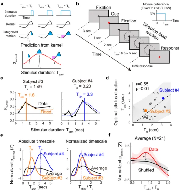 Figure 3.  Kernel-size matched stimulus duration optimizes sensory perception. (a) Predicted perceptual  response from the observed kernel