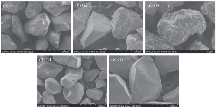 Figure 3: SEM images of garnet particles: (a) G1, (b) G2, (c) G3, (d) G4, and (e) G5.