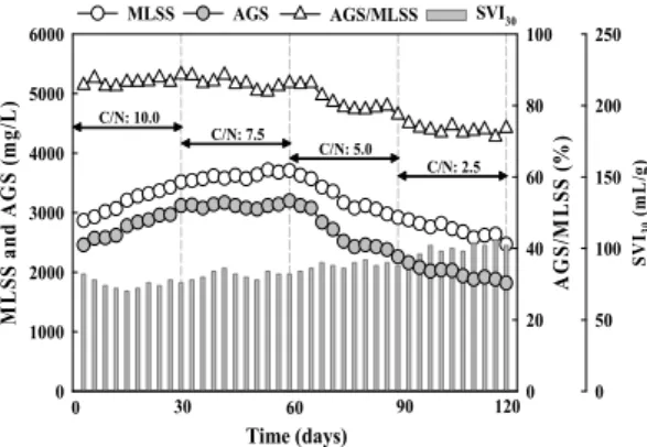 Fig.  4.  MLSS,  AGS  concentration,  AGS/MLSS  and  SVI 30