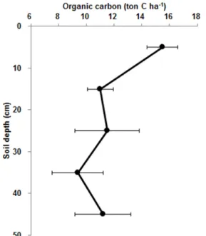 Fig. 3. Seasonal soil respiration of the  Pinus densiflora   forest in  the study area.
