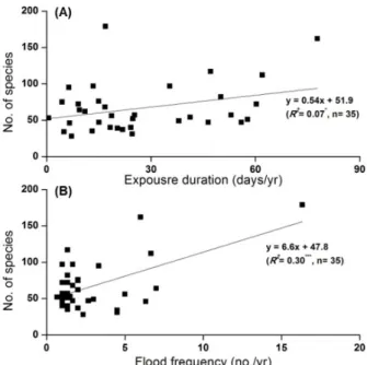 Fig. 2. Relationship between numbers of species (NSP) and (A)  mean exposure duration (WE), (B) flood frequency at the median 