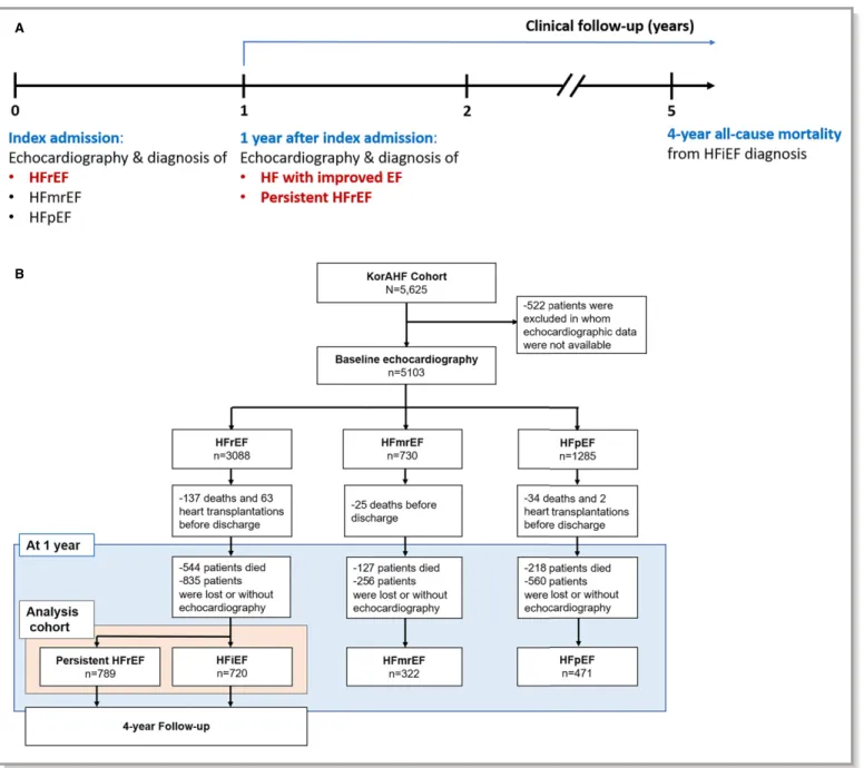 Figure 1. Study population. A, Flowchart of the study. B, Patients demographics according to the ﬂowchart