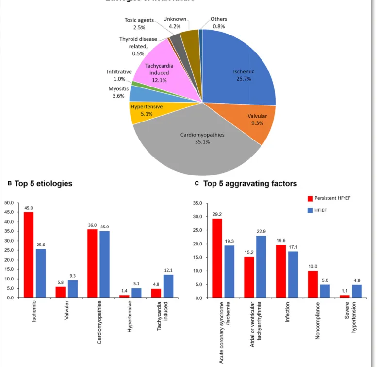 Figure 2. Etiology and aggravating factors according to HF phenotypes. A, Proportion of HF etiology