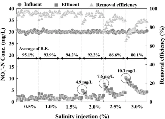 Fig. 2. Results of NO 3 - -N concentration with salinity injection.