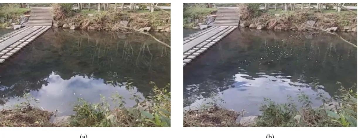 Fig. 4. Observation point (Yeonoei-stream); a) State of the usual flow; b) Using tracer-particle.